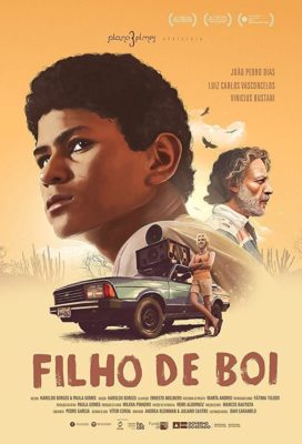 poster Filho de Boi